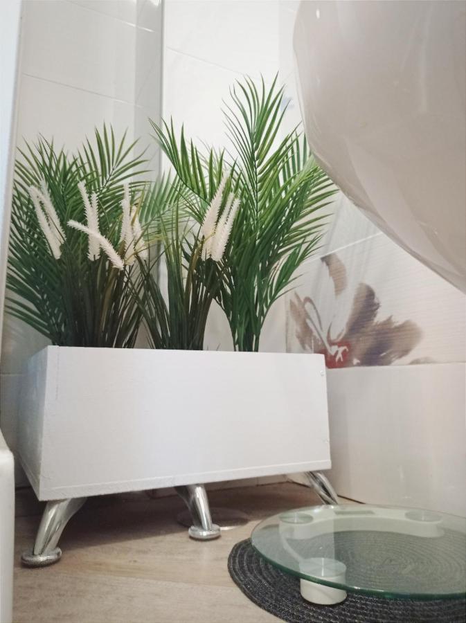 Bed and Breakfast Domus Pio XI Rom Exterior foto